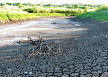 Самарской области напророчили к 2050 году жару и засухи летом и снегопады зимой