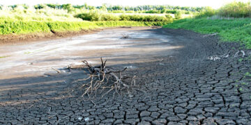 Самарской области напророчили к 2050 году жару и засухи летом и снегопады зимой