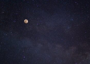 Афиша выходного дня: куда сходить в Самаре с 13 по 15 сентября