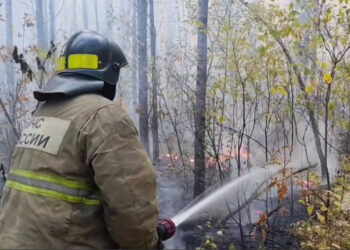 В Самарской области третий день полыхает Рачейский бор