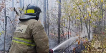 В Самарской области третий день полыхает Рачейский бор