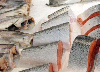 Самарского поставщика РЖД и «Пятерочки» поймали на «серых» схемах легализации мигрантов