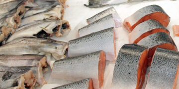 Самарского поставщика РЖД и «Пятерочки» поймали на «серых» схемах легализации мигрантов