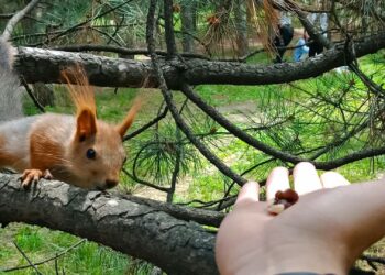 Афиша выходного дня: куда сходить в Самаре с 27 по 29 сентября