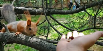 Афиша выходного дня: куда сходить в Самаре с 27 по 29 сентября