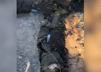 Опубликовано видео уничтожения группы пехотинцев ВСУ в Курской области