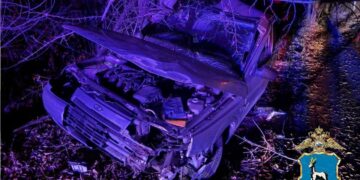 В Самаре молодой водитель на вазовской «двенашке» въехал в дерево