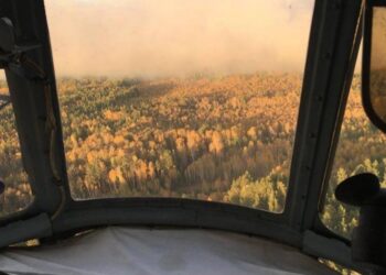 В Самарской области выгорело почти 500 гектаров леса в Рачейском бору