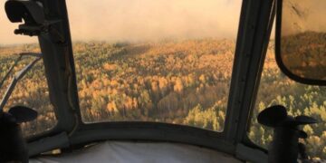 В Самарской области выгорело почти 500 гектаров леса в Рачейском бору