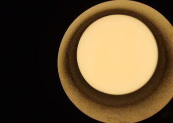 ТОП-5 новостей недели: Общество