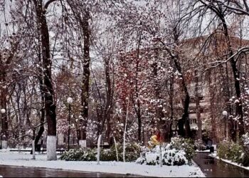 ТОП-5 новостей недели: Общество