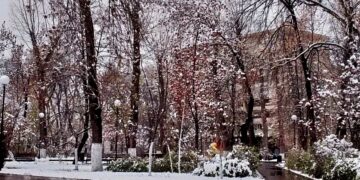 ТОП-5 новостей недели: Общество