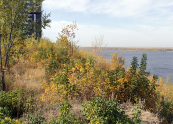 В Самаре пытаются продать под застройку прибрежную площадку в рекреационной зоне