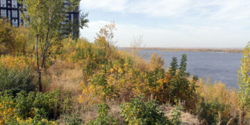 В Самаре пытаются продать под застройку прибрежную площадку в рекреационной зоне