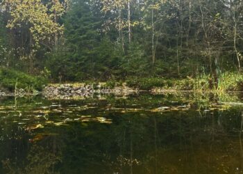 В Самарской области синоптики обещают тепло и снег в ближайшие выходные