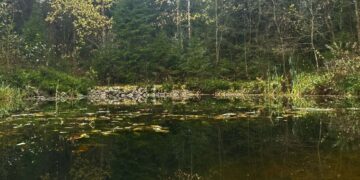 В Самарской области синоптики обещают тепло и снег в ближайшие выходные