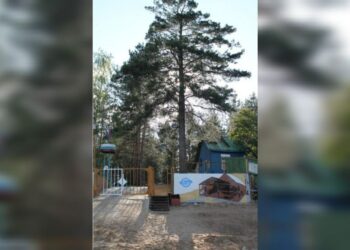 В Самарской области у семьи экс-менеджера оборонных заводов заберут турбазу в нацпарке