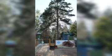 В Самарской области у семьи экс-менеджера оборонных заводов заберут турбазу в нацпарке