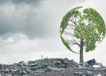 «ДЕЛО» назвало лучшие города и районы Самарской области по развитию бизнеса