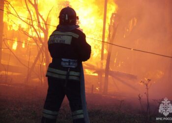 ТОП-5 новостей недели: Криминал