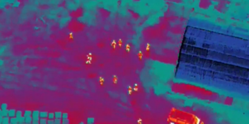 В Самарской области ловили мигрантов-нелегалов с помощью дрона