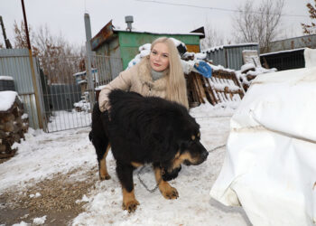 В новокуйбышевский приют для животных «Надежда» пришли подарки газовиков