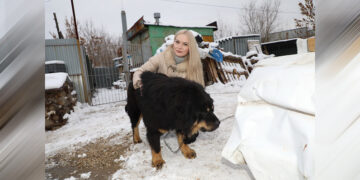 В новокуйбышевский приют для животных «Надежда» пришли подарки газовиков