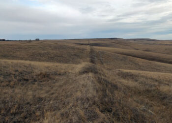 История крупнейшей битвы средневековья «приземляется» в Самарской области
