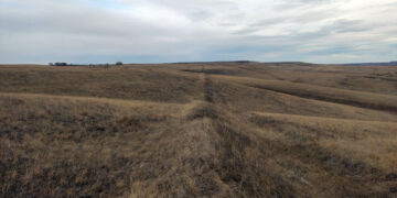 История крупнейшей битвы средневековья «приземляется» в Самарской области