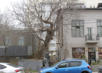 Охранный статус самарского «Дома Кичаева» распространили на соседние руины