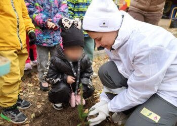 Волонтеры Куйбышевского НПЗ в ноябре подарили Самаре 500 молодых кедров