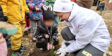 Волонтеры Куйбышевского НПЗ в ноябре подарили Самаре 500 молодых кедров