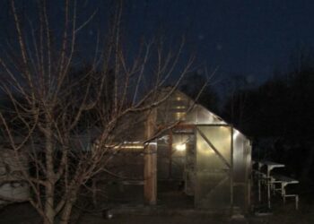 Житель Самарской области убил жену и закопал в теплице