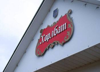 Дума Тольятти подвесила корректировку градостроительного зонирования под «Хорлбатом»