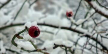Синоптики рассказали, когда в Самарской области кончится снег и ударят морозы – 20°C 