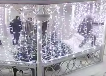 В Америке Гринч украл Рождество, а в Самаре вандалы разграбили фотозону в Струкачах