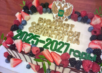 Сигналы самарского губернатора вызвали резонанс в депутатах регионального парламента