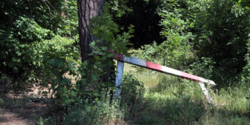 В Самаре предотвратили очередную попытку приватизации земель лесного фонда