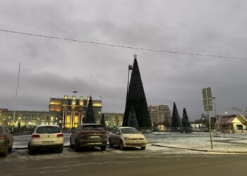 В Самаре установили главную елку города