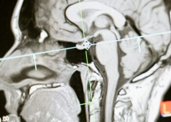 Daily Mail: в Пентагоне исследовали бессмертие сознания и реинкарнацию