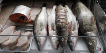 Рыбинспектор из Жигулевска не смог победить браконьерство и решил его возглавить