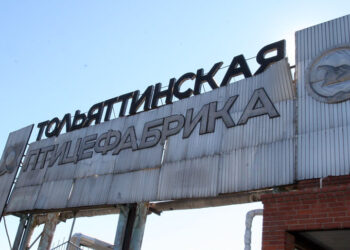 Обанкроченная Тольяттинская птицефабрика трансформировалась в новый бизнес