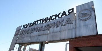 Обанкроченная Тольяттинская птицефабрика трансформировалась в новый бизнес