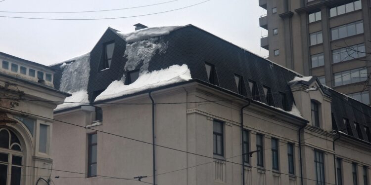 Фото: Александра Русяева