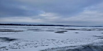 Фото: Марина Ярцева