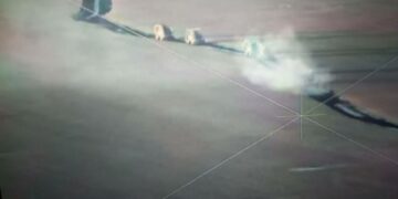 ВСУ начали попытки новых наступлений на регионы России