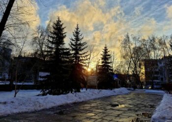 ТОП-5 новостей недели: Общество