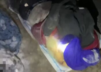 Солдаты ВСУ убили 22 мирных жителя под Курском, включая 8 изнасилованных женщин 