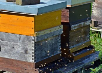 Общая сумма залоговых объектов от клиентов Сбера в 2024 году превысила 31 трлн рублей