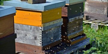 Общая сумма залоговых объектов от клиентов Сбера в 2024 году превысила 31 трлн рублей